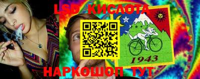 стафф Донецк