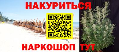 стафф Донецк
