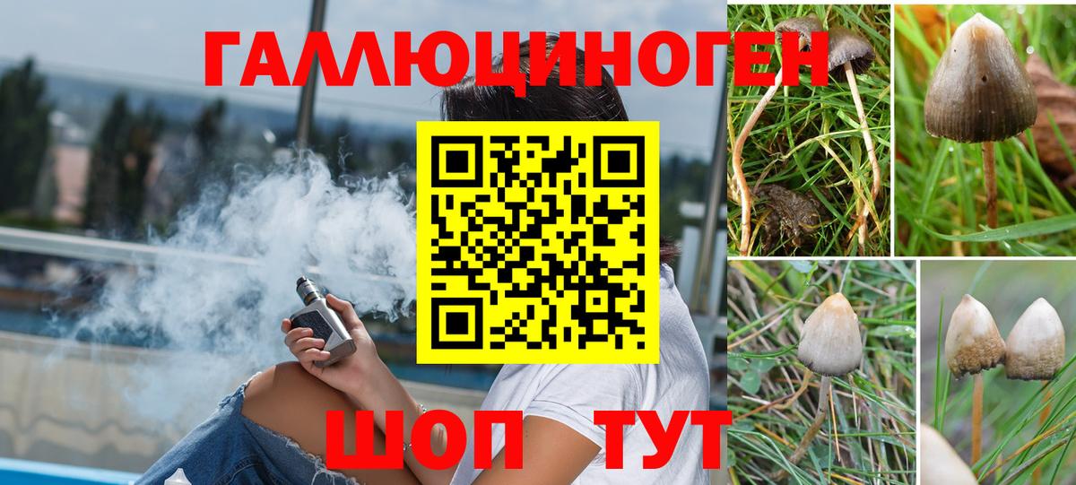 Нижнеудинск  Псилоцибиновые грибы GOLDEN TEACHER  Вход с VPN  Псилоцибиновые грибы Magic Shrooms 