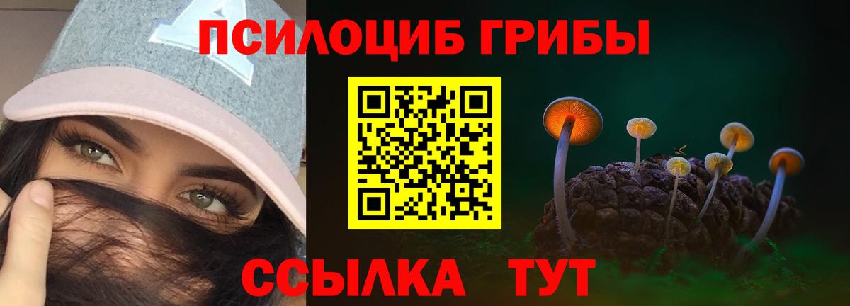 Галлюциногенные грибы Cubensis Нижнеудинск
